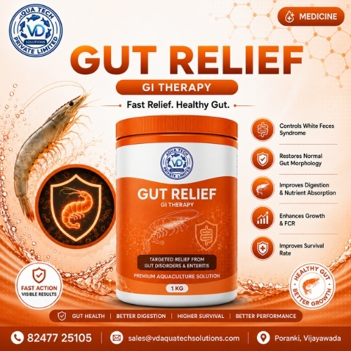 Gut Relief product packaging