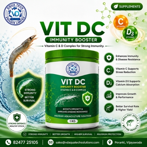 Vit DC product packaging